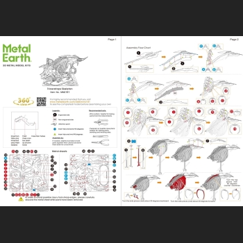 Dinozaur Triceratops